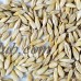 Organic Barley Seeds - 1 Lbs - Whole (Hull Intact) Barleygrass Seed - Ornamental Barley Grass, Juicing - Grain for Beer Making, Emergency Food Storage & More   566929338